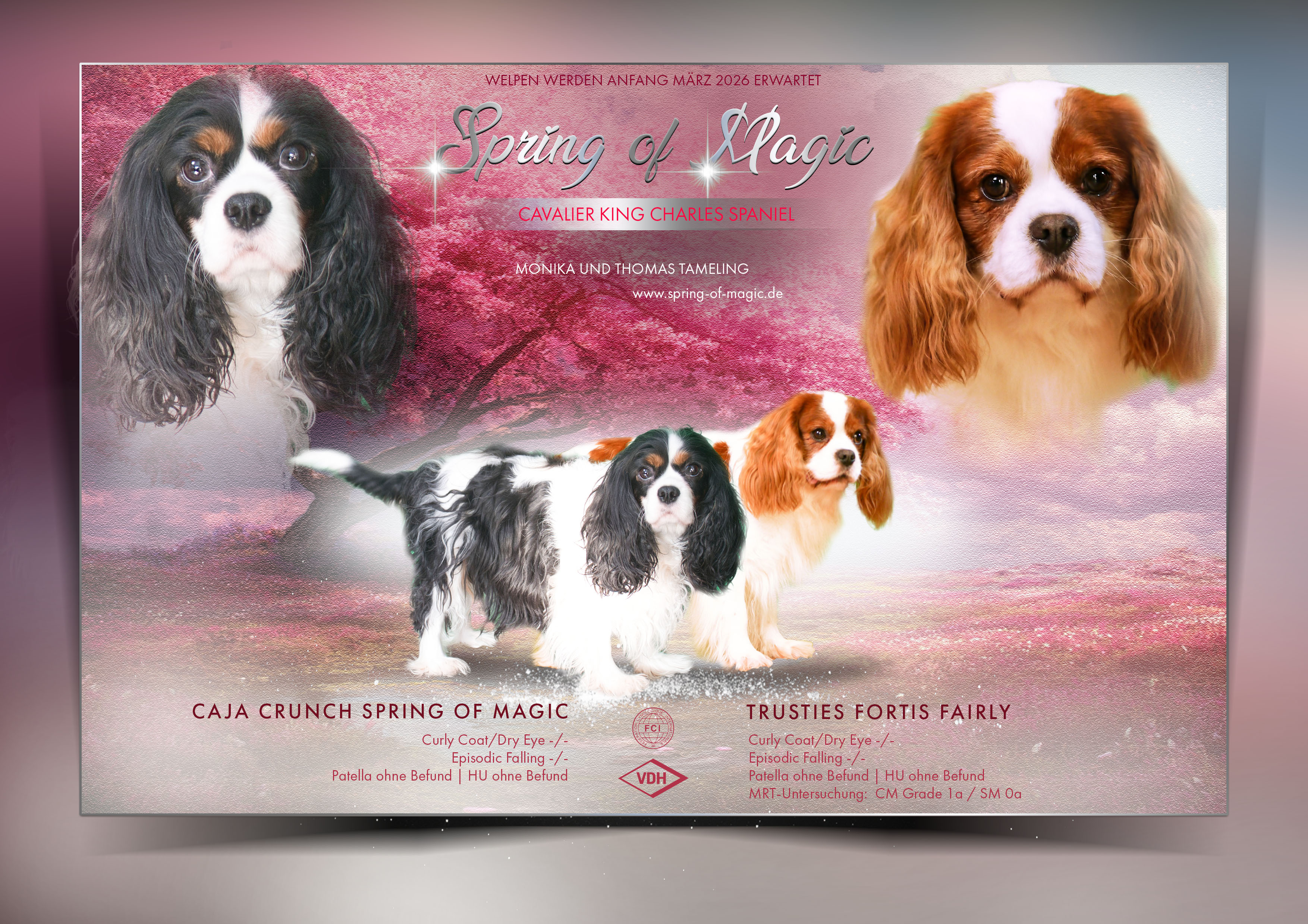 J-Wurf Triesties Fortis Fairly - Caja Crunch Spring of Magic